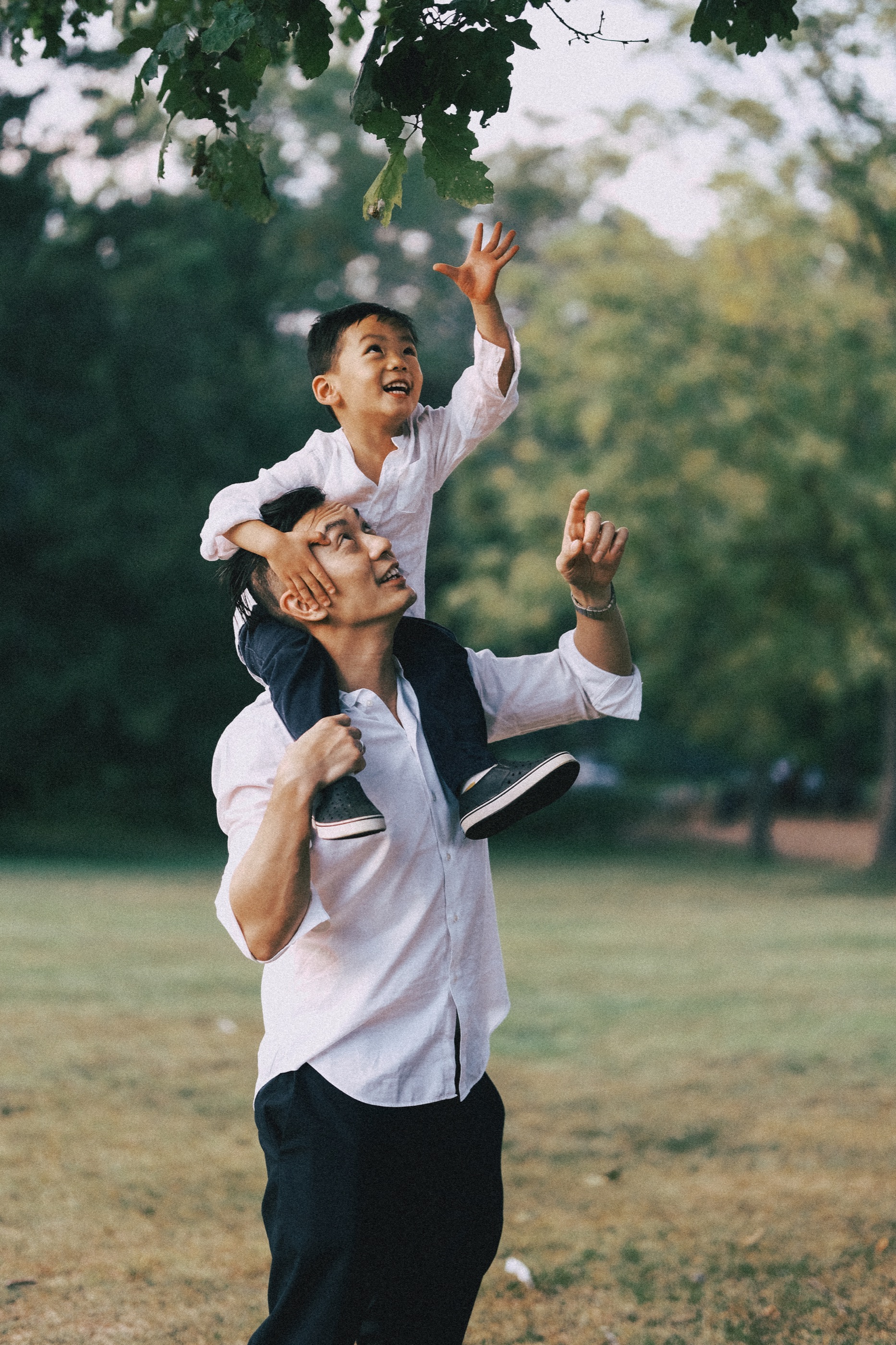 Family session gallery image